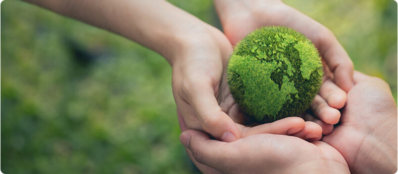 Compliance and Corporate Social Responsibility