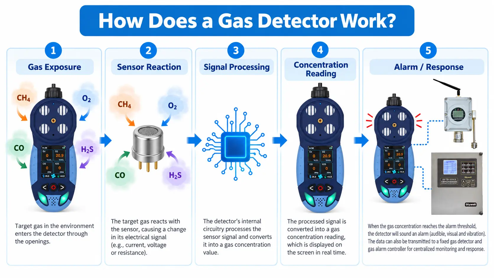 How a gas detector works from gas exposure to sensor response concentration reading and alarm